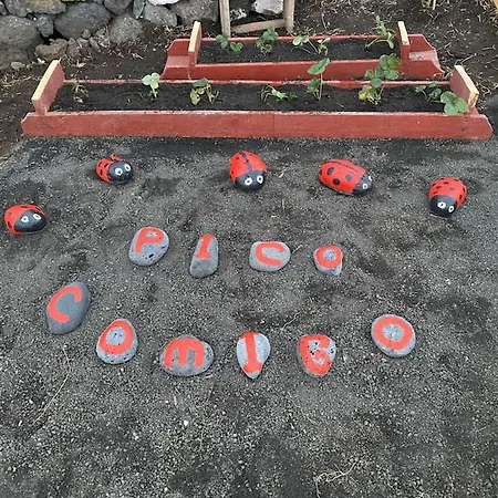 Ferienhaus Picocomigo Sao Joao (Pico Island)